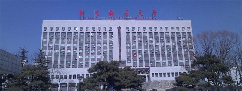 北京林業大學大樓