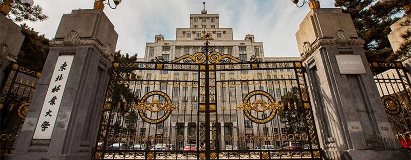 東北林業大學正門