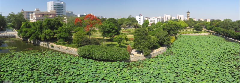 廣西大學校景