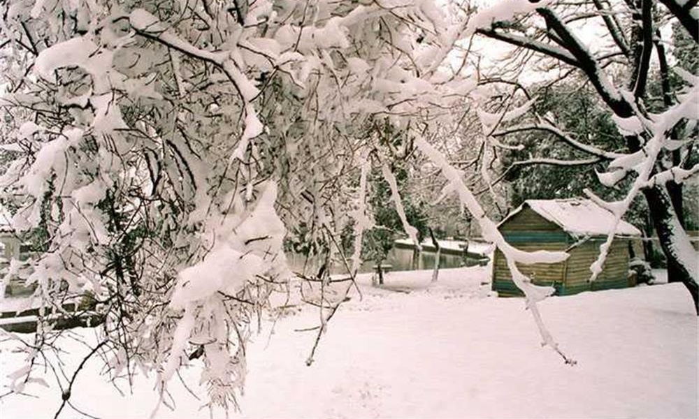 合肥工業(yè)大學雪景1