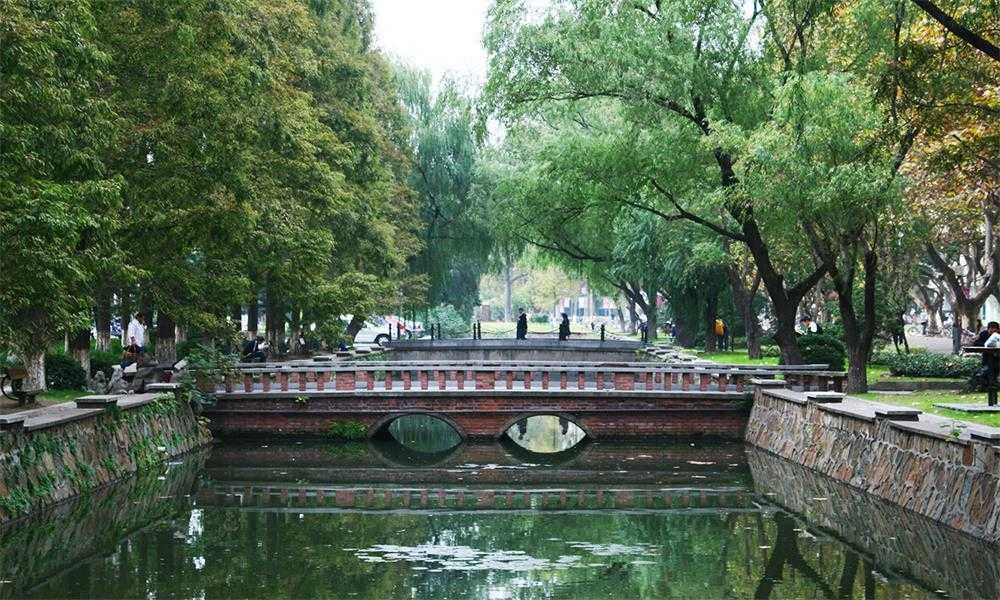 同濟(jì)大學(xué)美景1