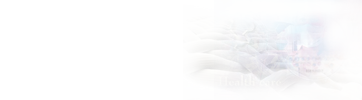 在職研究生專業