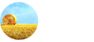 農學在職研究生