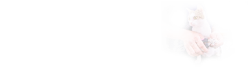 在職研究生專業