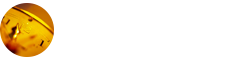 應(yīng)用經(jīng)濟(jì)學(xué)在職研究生