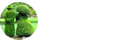 園藝學(xué)在職研究生